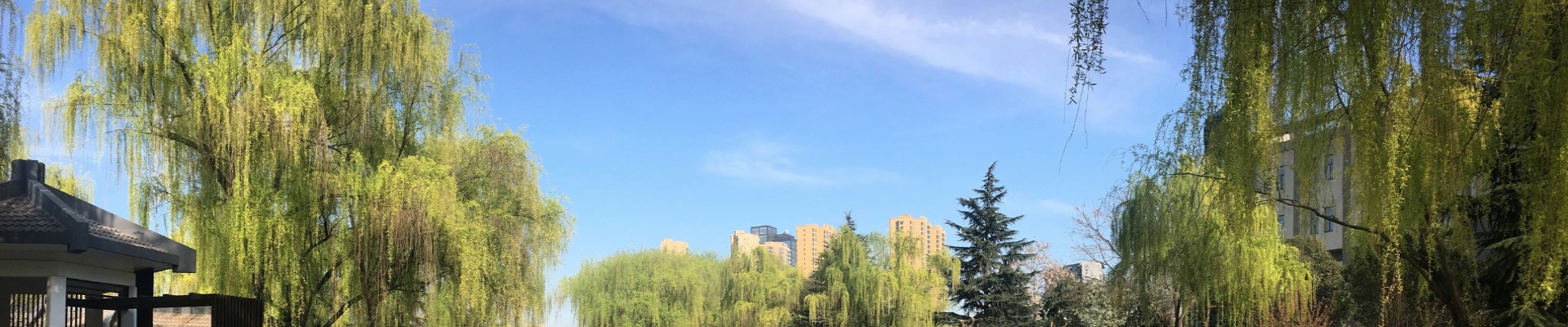 星空网页版登录入口