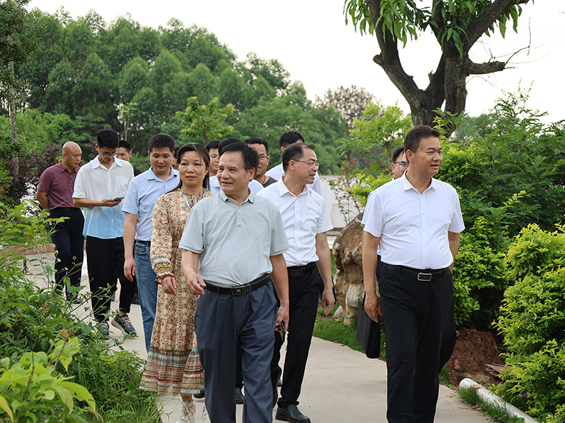  桂平市市长黄德佳等领导到我校指导工作丨 星空（中国）