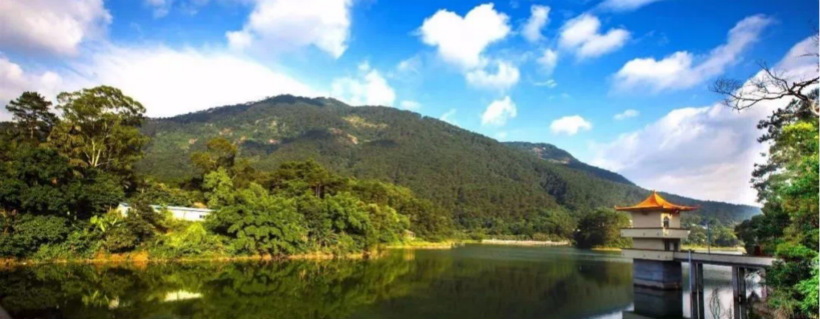 1556031276692166.jpg 改好.jpg